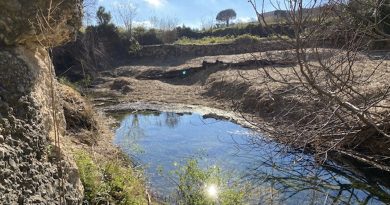 Restauració fluvial del riu Sénia