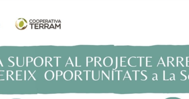 Projecte Arrela’t d’inclusió social per a joves basada en la mentoria esportiva